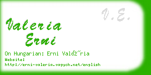 valeria erni business card